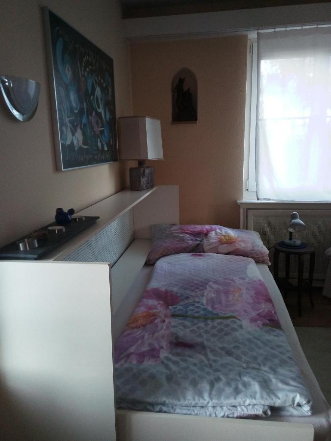 Rose-Marie'S Paradies Apartment Aesch Cameră foto